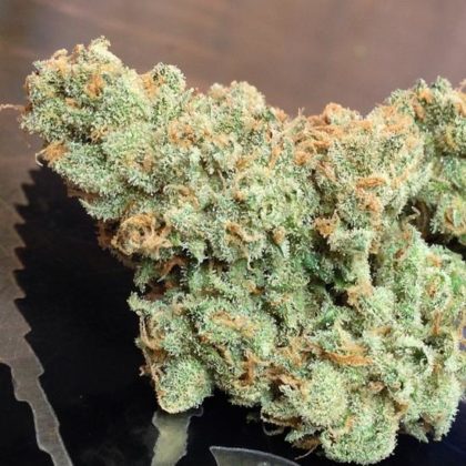 Buy Jack Herer Medical Marijuana Strain - BUY MARIJUANA ONLINE