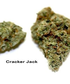 Buy Cracker Jack online | Cracker Jack for sale | Cracker Jack