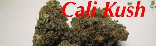 Buy Cali Kush online | Cali Kush for sale | Cali Kush